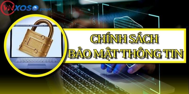  Vnxoso nổi bật với đánh giá cao về sự hiện đại, tính tiên tiến